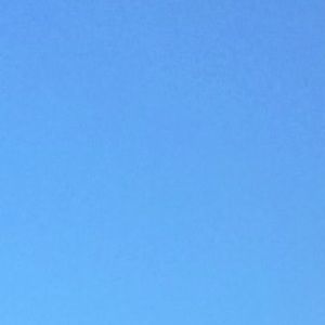 Meet your Posher, Trinity