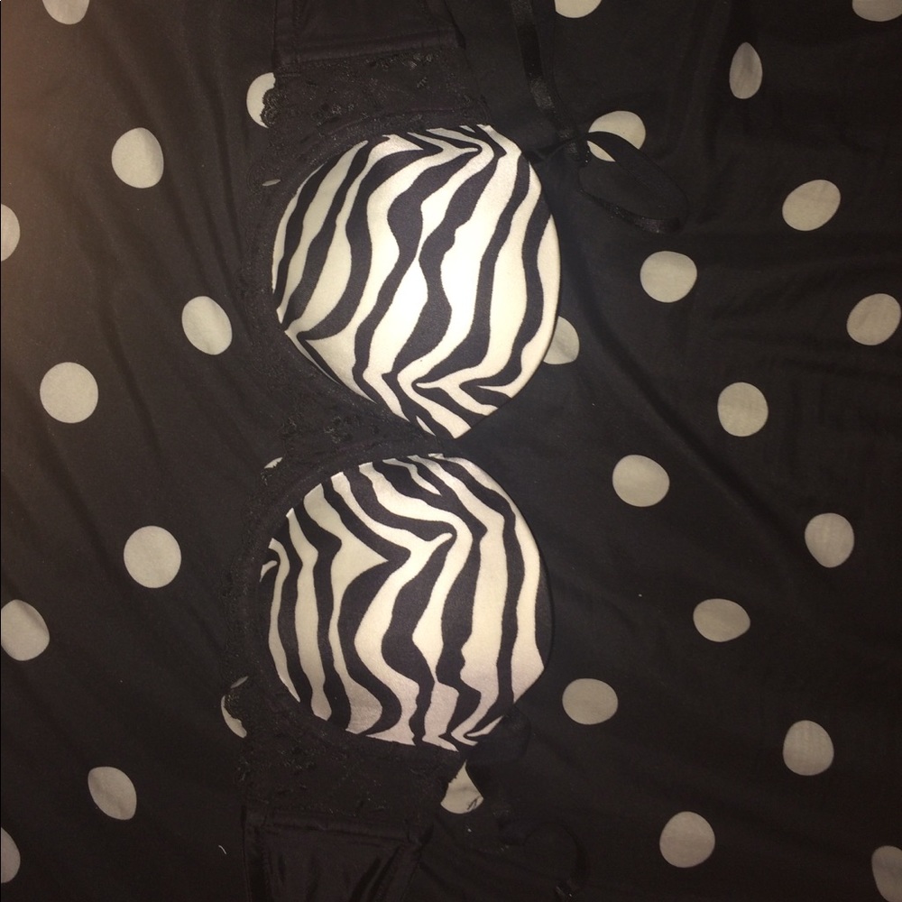 Zebra Bra 36B