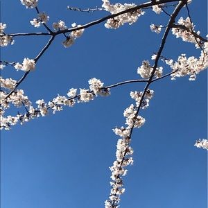 Meet your Posher, Nd