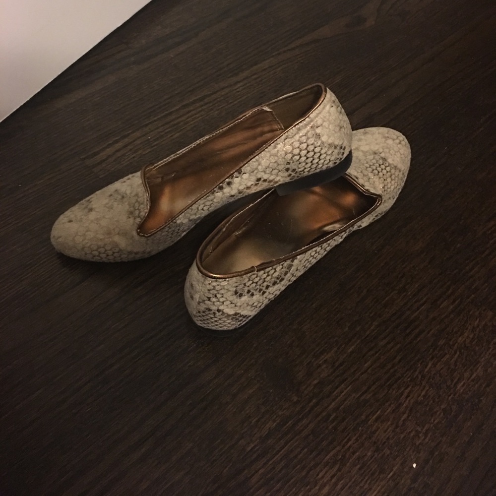 🌟Missimo Gold Flat-8.5M