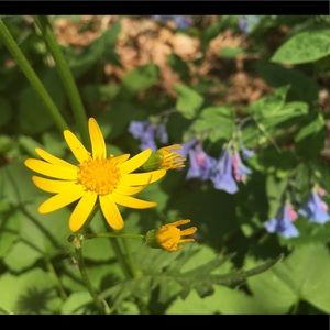 Meet your Posher, Nicola