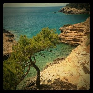 Meet your Posher, Roberta