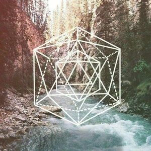 Meet your Posher, Kalley