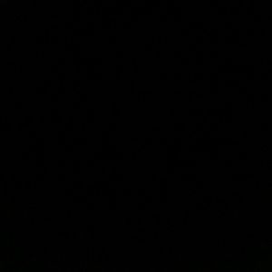 Meet your Posher, Phillip