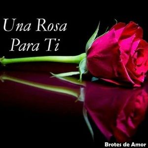 Meet your Posher, Maritza