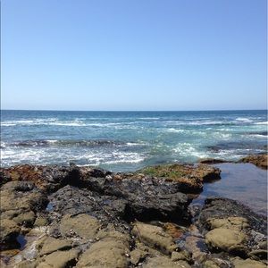 Meet your Posher, Josh