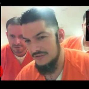 Meet your Posher, Hector