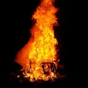 Meet your Posher, Elisa