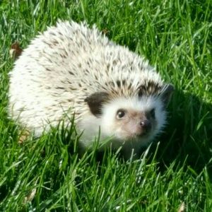 Meet your Posher, Kimberly