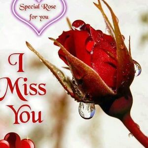 Meet your Posher, Vicky