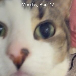 Meet your Posher, Stephenie