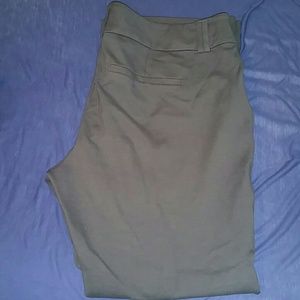 Torrid dress pants