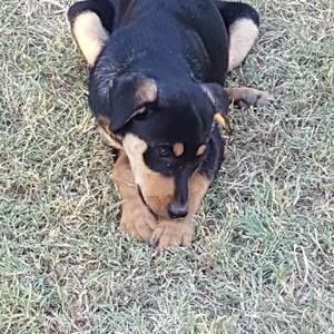 Meet your Posher, Johnny