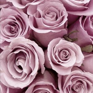 Meet your Posher, Alvereno