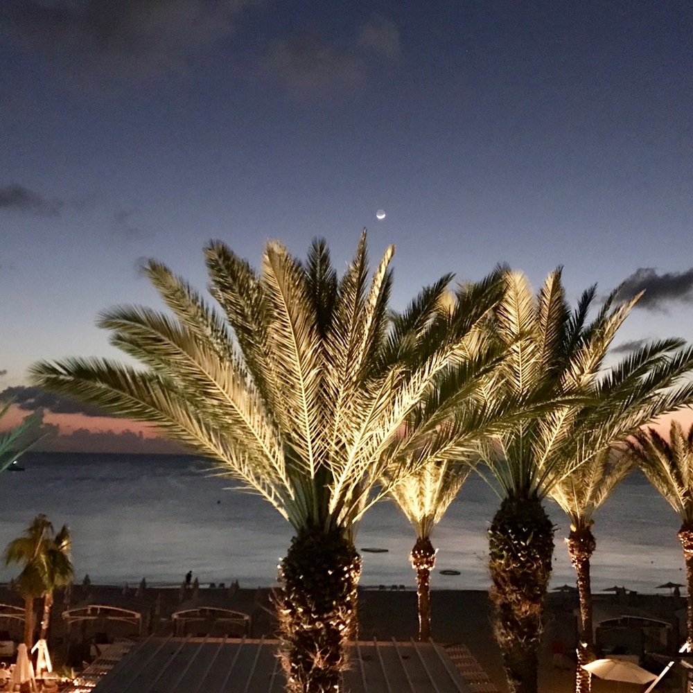 Meet your Posher, Ali