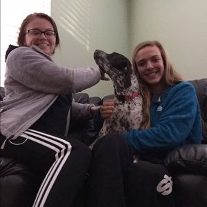 Meet your Posher, Sam