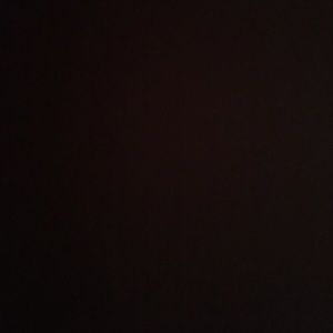 Meet your Posher, Kyra