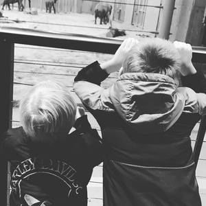 Meet your Posher, Miranda