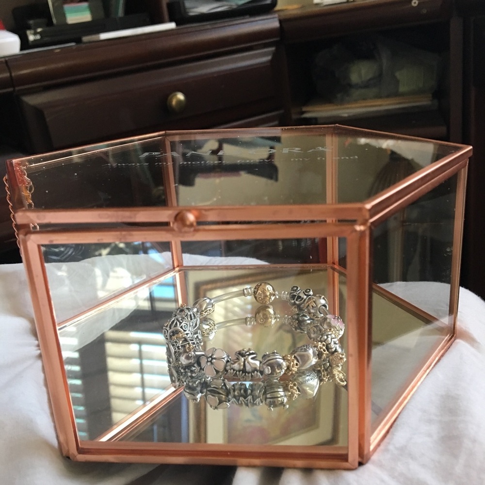 Limited Edition Pandora Jewelry  Box, brand new.