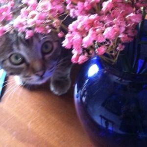 Meet your Posher, Maria