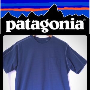 Patagonia blue T.