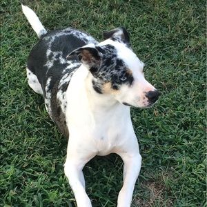 Meet your Posher, Karla