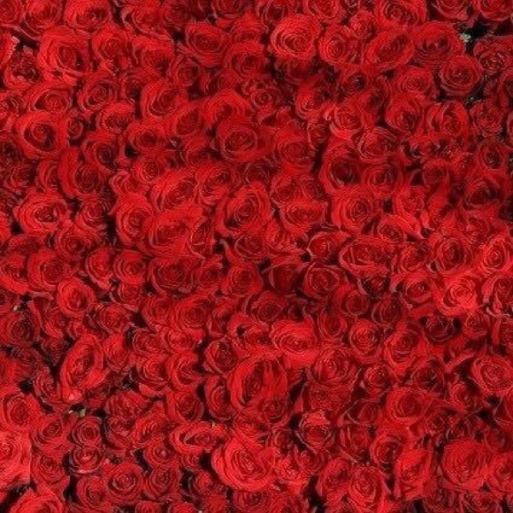 Meet your Posher, Amina