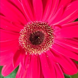 Meet your Posher, Mindy