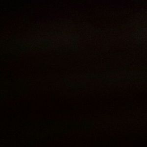 Meet your Posher, Shelly