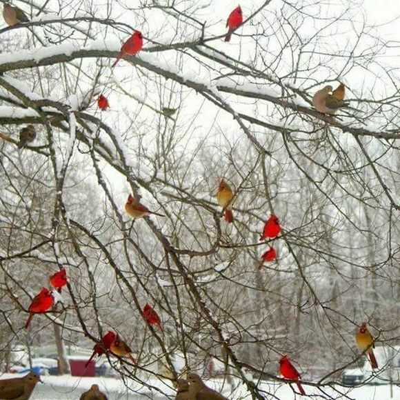 Meet your Posher, Allison - Picture 1 of 1