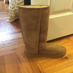 Chestnut tall uggs size 8