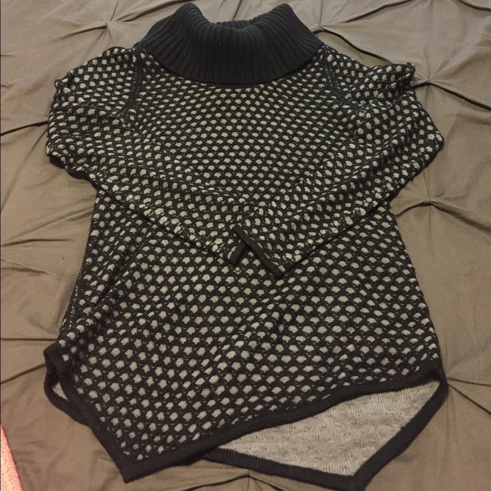 Express Tunic Sweater