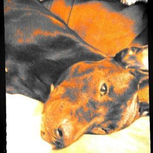 Meet your Posher, Seth