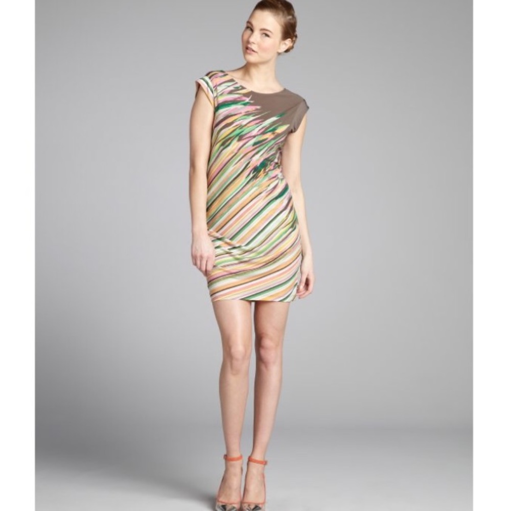 BCBG Rubie multi color mini dress