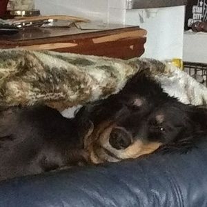 Meet your Posher, Hope