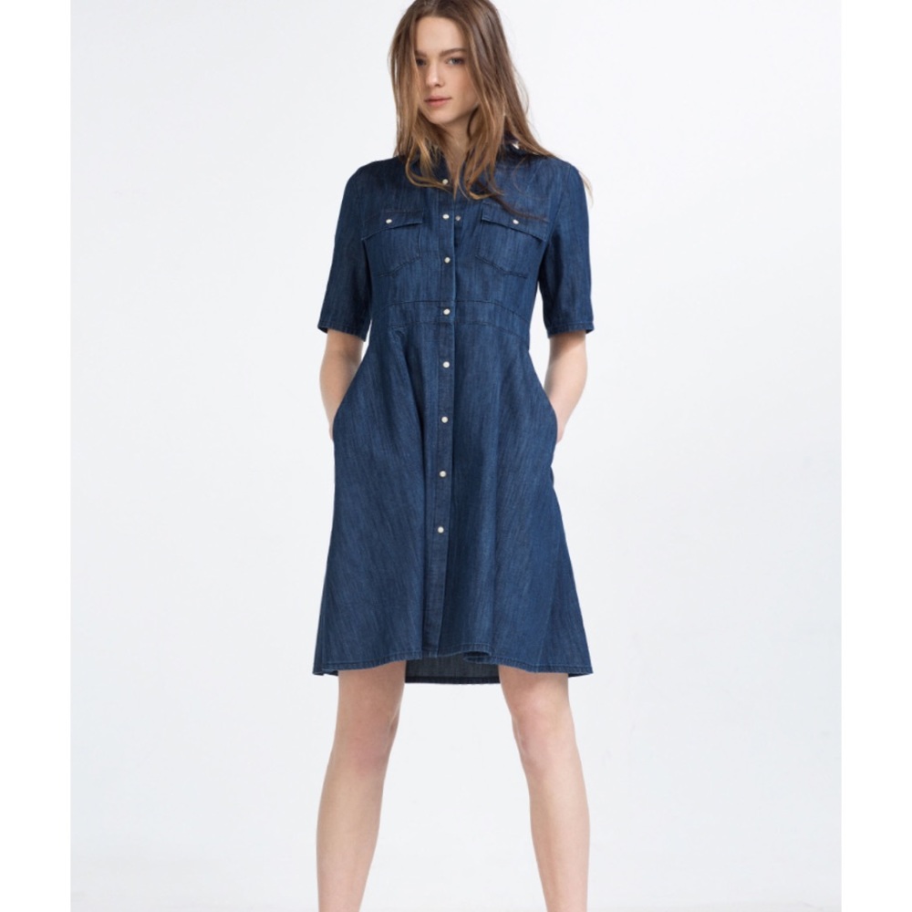 Zara Denim Dress