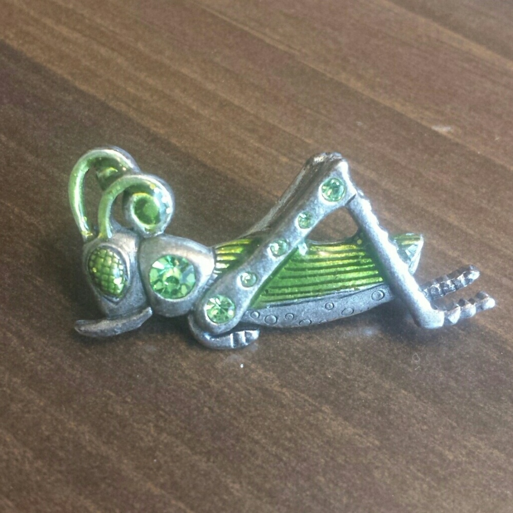 Grasshopper pin