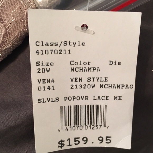 🎊HP NWT Mother of Bride Formal Wedding Dress 20W - Picture 6 of 6