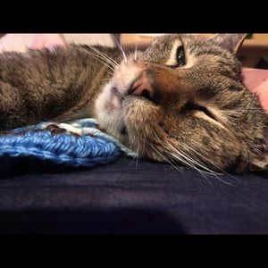 Meet your Posher, Kat