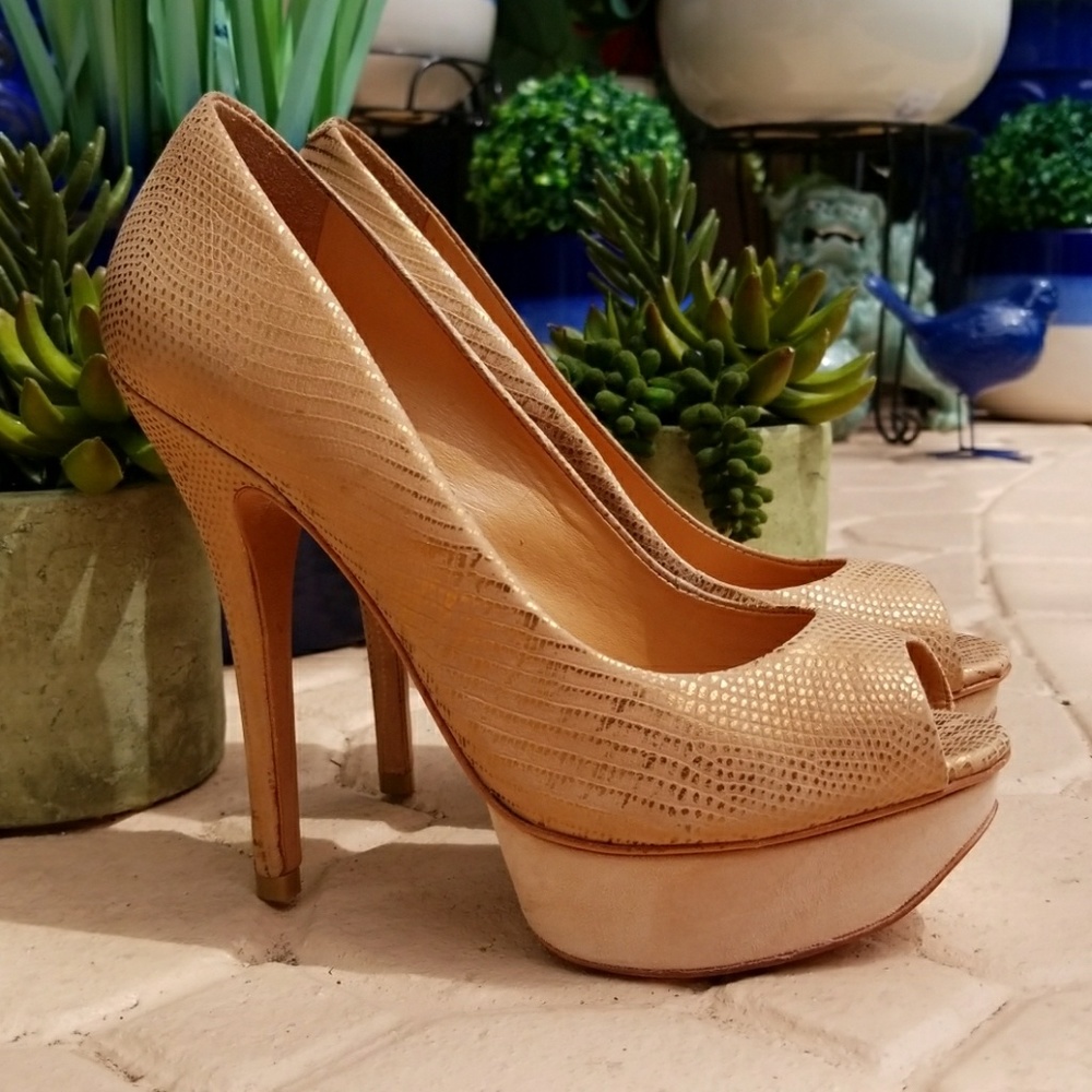 Aldo Platform Nude Pumps