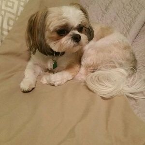 Meet your Posher, Brenna