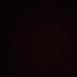 Meet your Posher, Priscilla