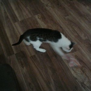 Meet your Posher, Don