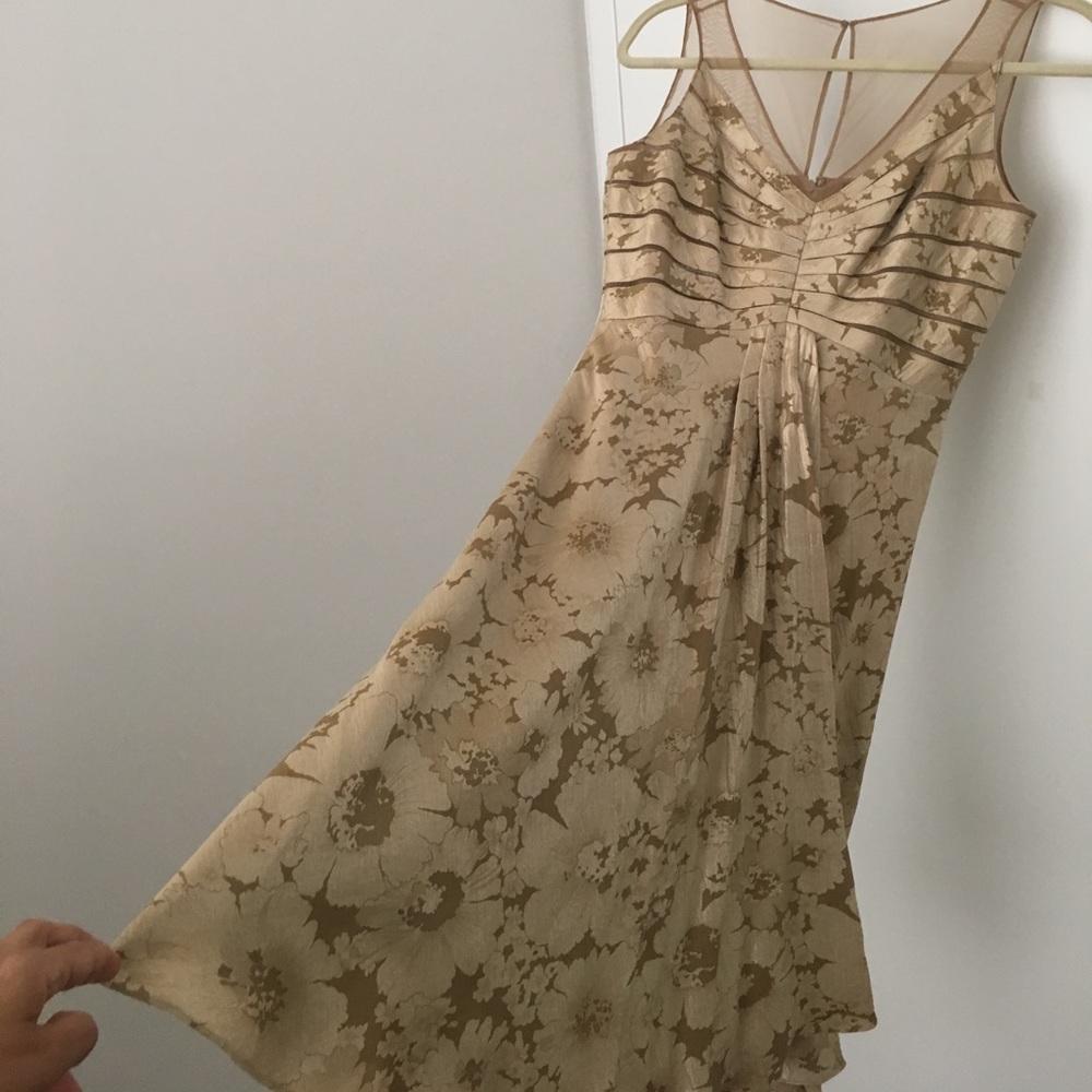 Adrianna Papell dress