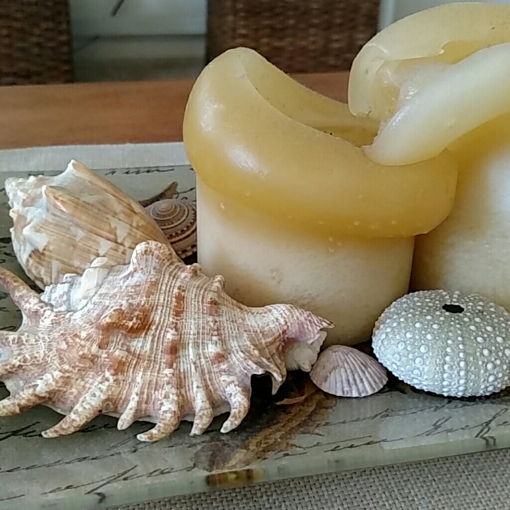 Meet your Posher, Ellen