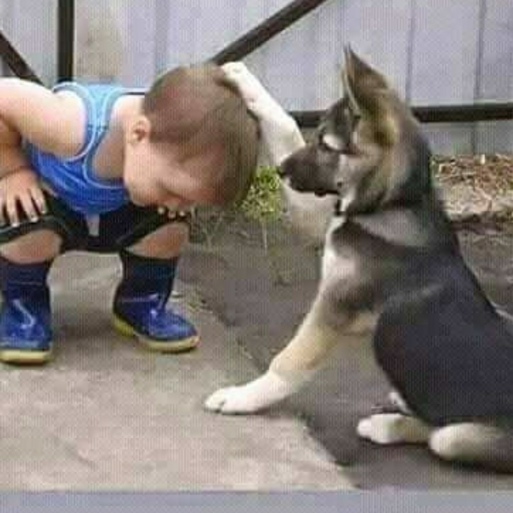 Meet your Posher, Kathy