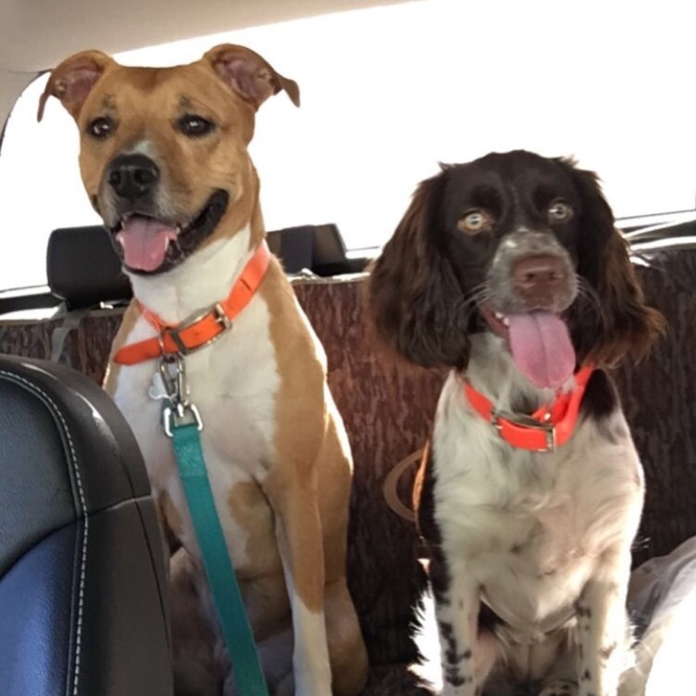 Meet your Posher, Chris