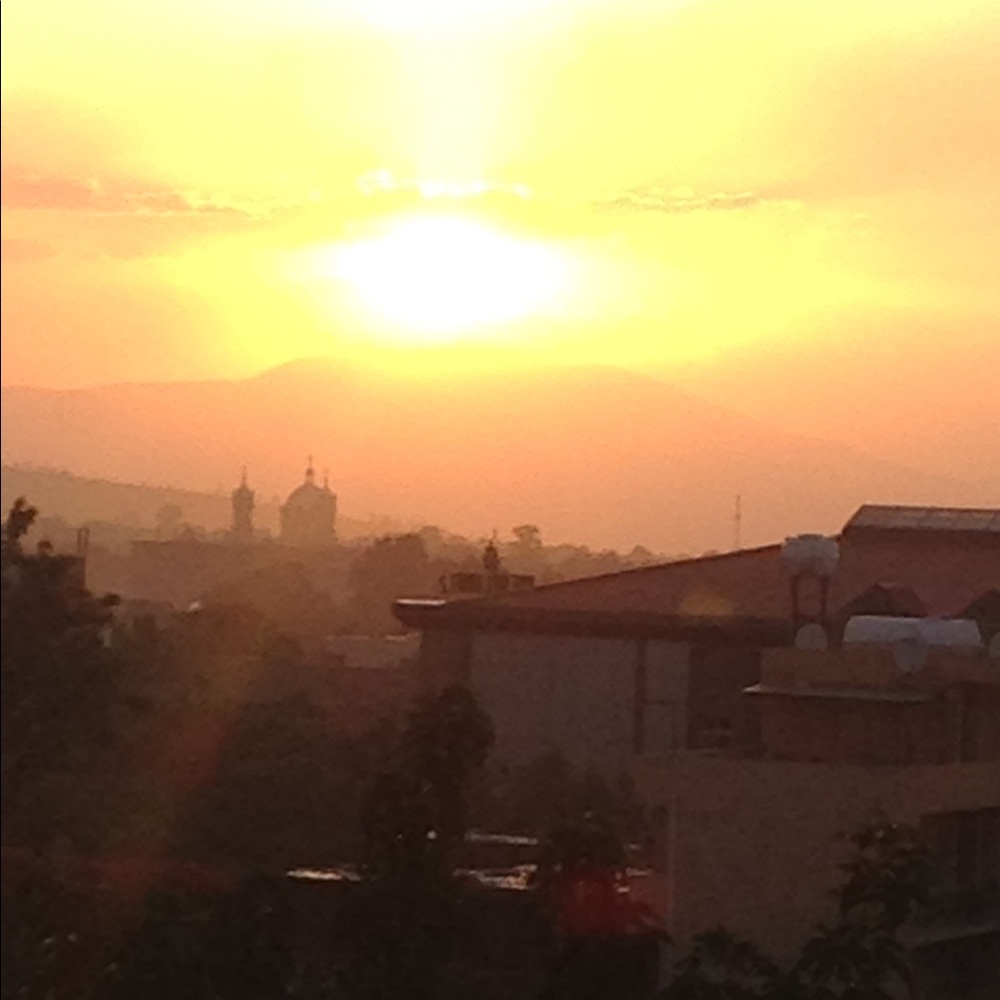 Meet your Posher, Anne