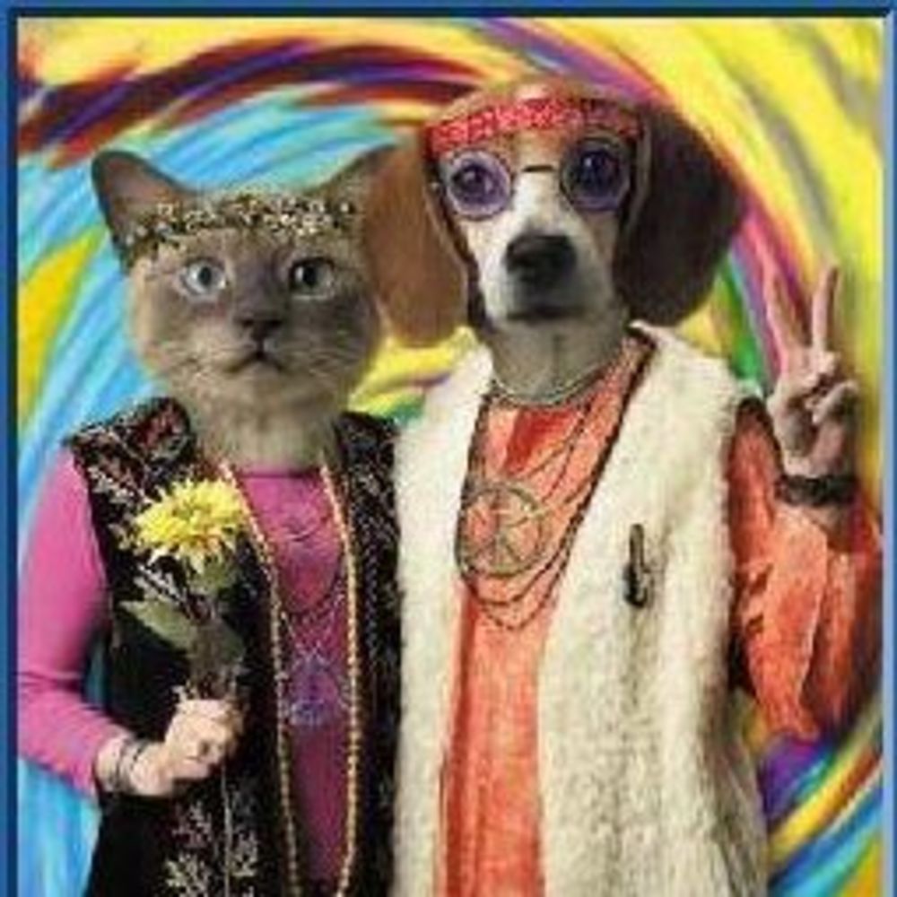 Meet your Posher, Maggie