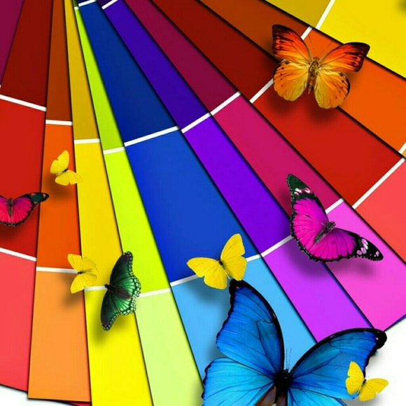 Meet your Posher, Leslie - Picture 1 of 1